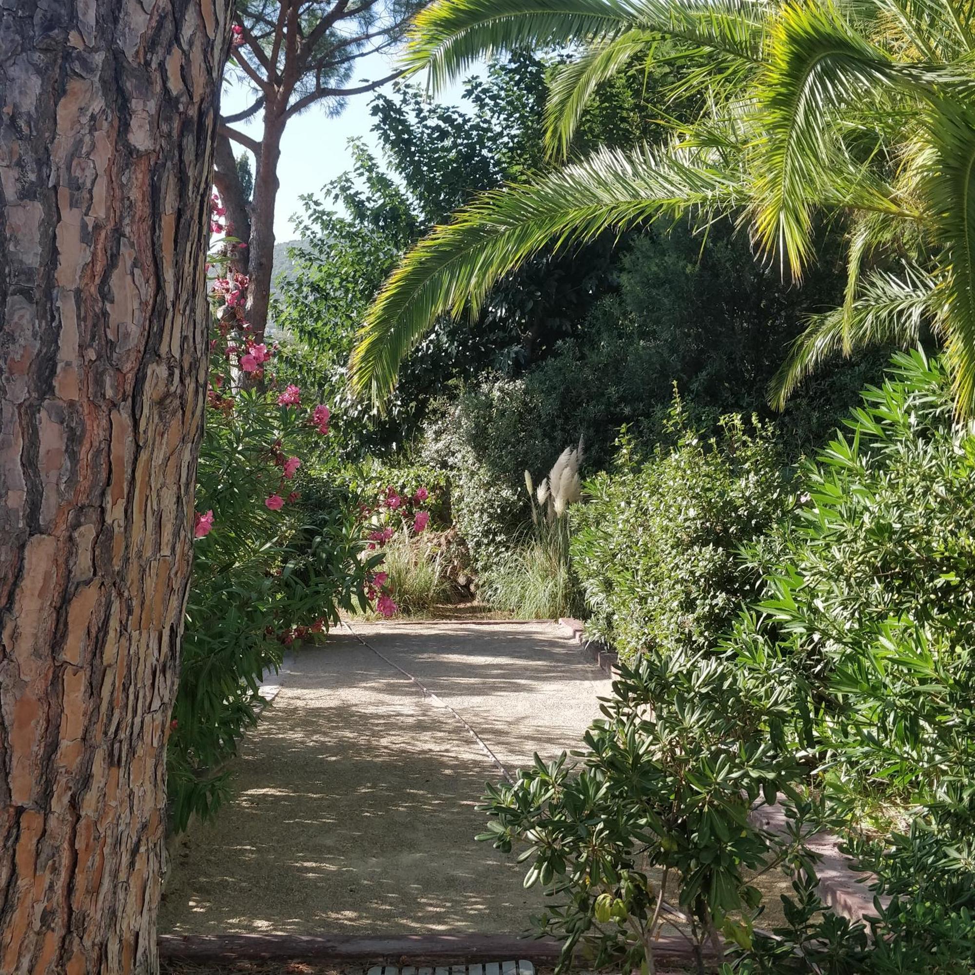 La Beluga Hotel Sainte-Maxime Ngoại thất bức ảnh