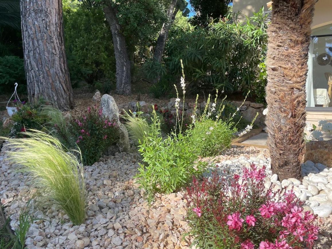 La Beluga Hotel Sainte-Maxime Ngoại thất bức ảnh
